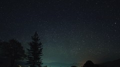 Trees night Stars garrett meyers outer space