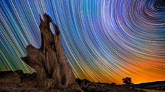 Trees night Stars lights colors fantasia skies night sky outer 