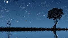 Trees night Stars lonely