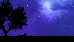 Trees night Stars purple silhouettes lying down night sky