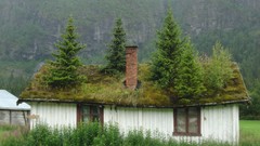 Trees Norway houses national geographic