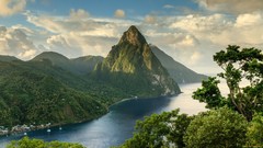 Trees ocean saint lucia