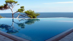 Trees ocean swimming pools