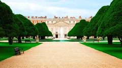 Trees palace court Hampton Court