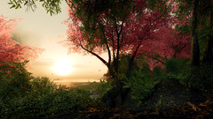 Trees paradise sakura horizon