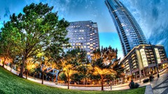 Trees Park Skyscrapers urban