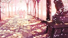 Trees Parks cherry blossoms