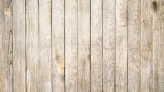 Trees patterns backgrounds wood texture