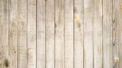 Trees patterns backgrounds wood texture