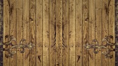 Trees patterns backgrounds wood texture