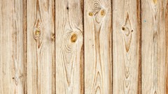 Trees patterns backgrounds wood texture