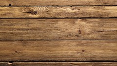 Trees patterns backgrounds wood texture