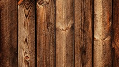 Trees patterns backgrounds wood texture