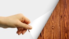 Trees patterns backgrounds wood texture