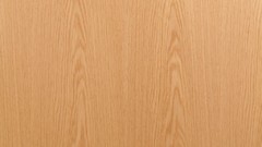 Trees patterns backgrounds wood texture