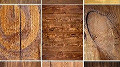 Trees patterns backgrounds wood texture