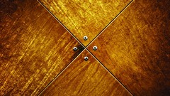 Trees patterns backgrounds wood texture