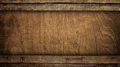 Trees patterns backgrounds wood texture