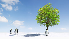 Trees Penguins