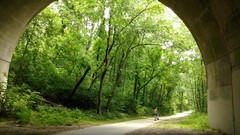 Trees Philadelphia USA