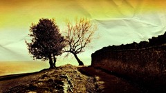 Trees Photo manipulation