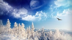 Trees planets snow landscapes