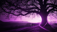 Trees purple monochrome nature