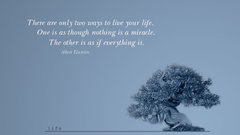 Trees Quotes Bonsai Miracle