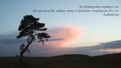 Trees Quotes Zen philosophy