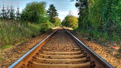 Trees railway