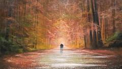 Trees rain autumn paintings silhouettes path lovers artwork 