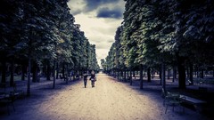 Trees rain Parks walk