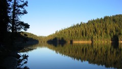 Trees reflections scenic Sierra Nevadas Diversion Lake