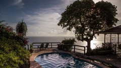 Trees resort swimming pools