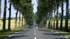 Trees roads