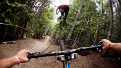 Trees roads Bicycles jumping forests scenic