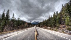 Trees roads HDR Photography