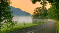 Trees roads mist