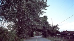 Trees roads Villages