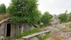 Trees rocks huts Finland