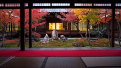 Trees room autumn Japan Asia Kyoto Temples cityscapes