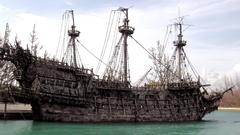 Trees ruins pirate ship