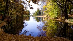 Trees seasons autumn Russia lakes