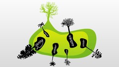 Trees seasons text abstract white background