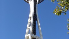 Trees Seattle buildings space needle