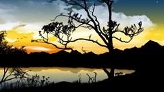 Trees silhouettes lakes