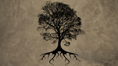 Trees silhouettes roots