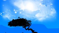 Trees silhouettes skyscapes