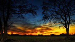 Trees sky sunset hdr sunlight clouds landscape nature