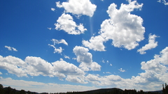 Trees skyscapes clouds Landscapes